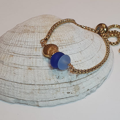Under the sea Shell